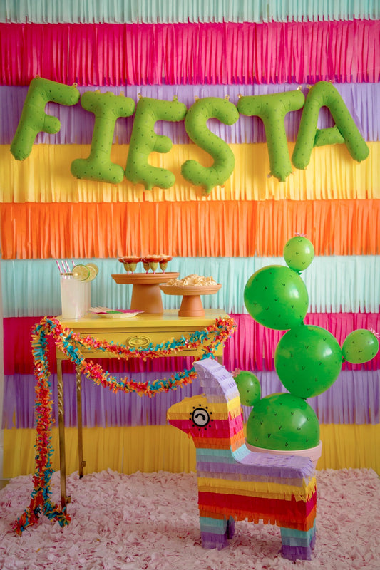 Cinco de Mayo FIESTA!